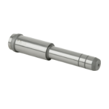 FSC Leader pins - DME - Standard Material 1.7131